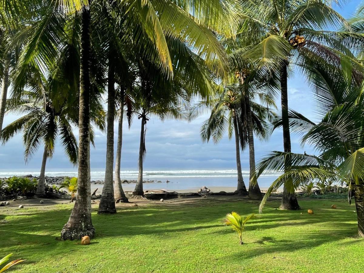 Salvatierra Beachfront Hotel Puerto Coyote Eksteriør billede
